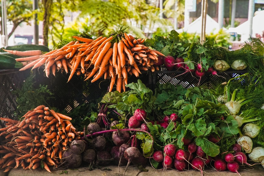 Plantera rätt: Välj grönsaker för din första kolonilott